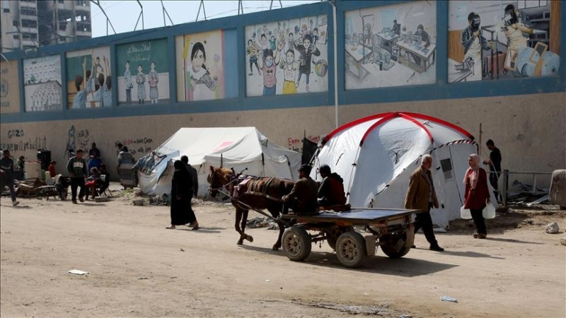 Gaza sees sharp rise in skin diseases amid severe heat wave