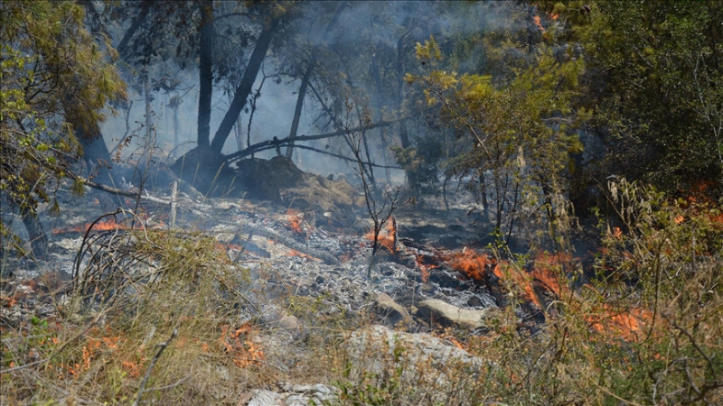  Brojni požari registrirani širom BiH: U gašenju u Mostaru učestvovao Air Tractor