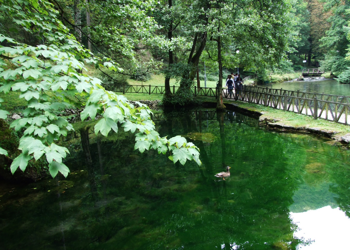 Saraybosna: Doğu ve Batı Kültürlerinin Buluşma Noktası